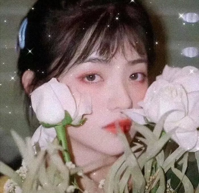 缘来自有机粤语