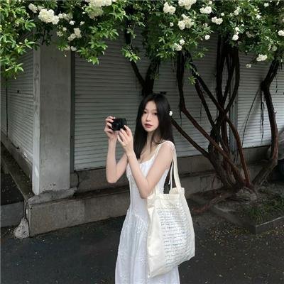 野狗们