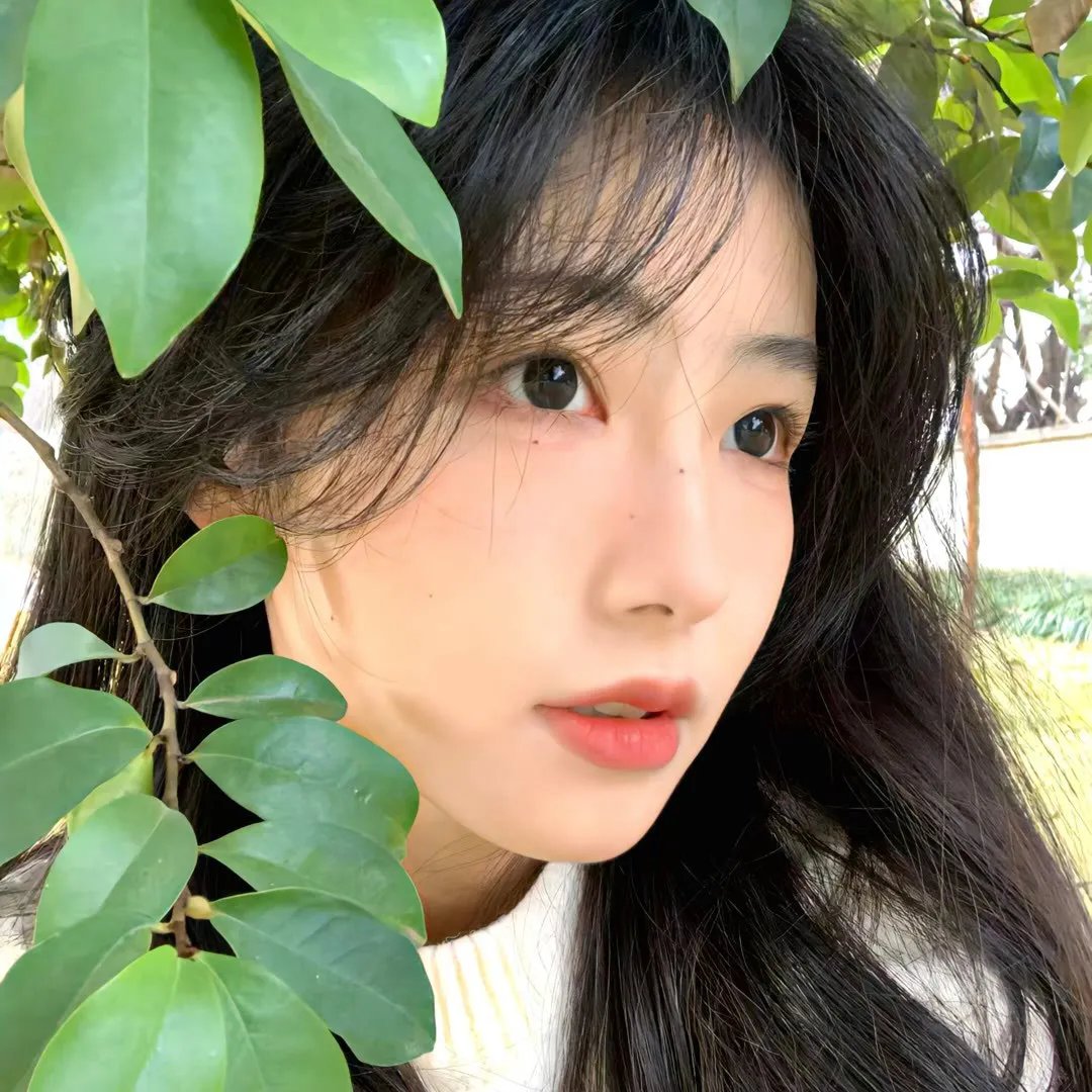 百变大咖秀第五季